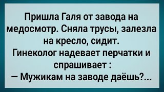 Как Галя На Заводе Медосмотр Проходила Сборник Свежих Анекдотов Юмор [upl. by Padriac]