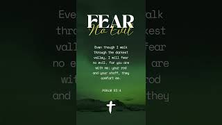 I Will Fear No Evil  Daily Bible Inspiration [upl. by Gillie]