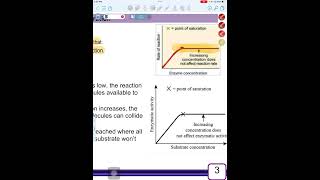 2024 BATCH  BIOLOGY LAB  Macromolecules and living things  By Ayah Barakat [upl. by Norling]