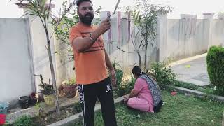 ਅੱਜ ਕੀਤੀ ਫੁੱਲਾਂ ਦੀ ਖੇਤੀ🍀🌺🌹aj kiti fulan di kheti 🌷💐🌼🌷trending funnyvideo sonu suman vlog [upl. by Lorene]