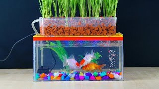 How To Make Mini Aquaponics Aquarium at home [upl. by Cormac634]