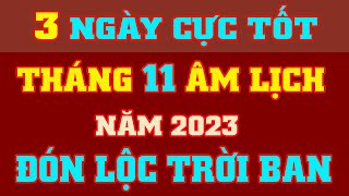 Xem Ngày Tốt Tháng 11 Âm Lịch Năm 2023  Động Thổ Cưới Hỏi Khai Trương  Vượng Tài Lộc [upl. by Dolphin]