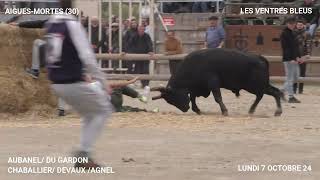 JOURNÉE VOTIVE MANADES AUBANEL DU GARDON CHABALLIER DEVAUX AGNEL DU LUNDI 7 OCTOBRE 24 [upl. by Janot593]