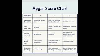 APGAR SCORE short [upl. by Fraase550]