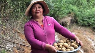 quotMes Rosaquot campaña contra la prevención y detección temprana contra el cancer de mama [upl. by Airotna]