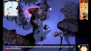 Lets Play Neverwinter Nights  Shadows of Undrentide 16 Hunting the Stag [upl. by Chirlin]