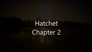 Hatchet Chapter 2 [upl. by Nitnert]