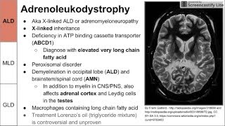 Leukodystrophies ALD MLD and GLD [upl. by Animrelliug805]