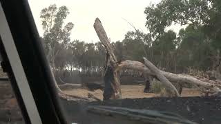 Bushfire aftermath attempting to reactivate burnt TV sets [upl. by Gilberte]