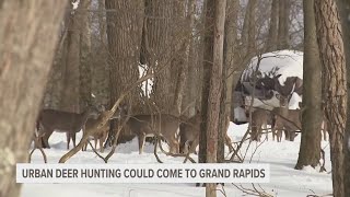 Urban deer hunting could come to Grand Rapids [upl. by Haden]