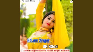 Aslam Singer SR 8563 [upl. by Nerradal]