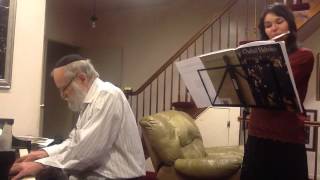 Eli Lipsker and flute playing ravs nigun [upl. by Bambie]