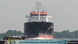 2024 Bassmaster Elite at St Lawrence NY  Live Mix Day 1 Part 2 [upl. by Hailed]