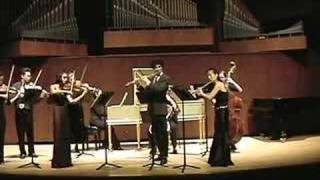 Bach Brandenburg Concerto no 4 1st mvt [upl. by Rieth]