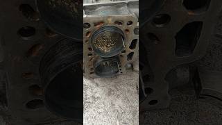 Cylinder Sleeves Liner Remove Tatamotors Tataace Automobile shorts repair [upl. by Carling383]