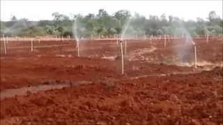 Savera Farms  Commercial sprinkler systems  Pilot Plot [upl. by Akkimat265]