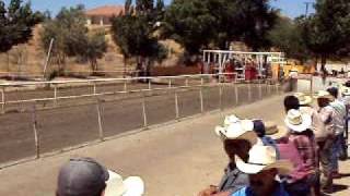 caballos carrera del ano retinto vs cortado [upl. by Letsyrc646]