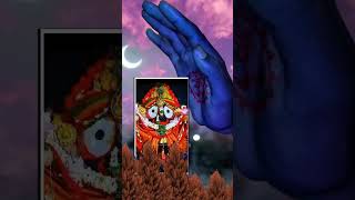 bada Akadashi re jagannath darshanamahabahu [upl. by Anires]