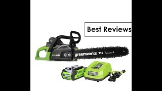 Best Greenworks 14Inch 40V Cordless Chainsaw Customers Reviews [upl. by Winters]