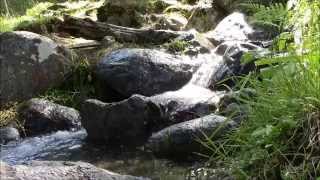 Relaxing Sound 35 minutes of Relaxing Sound of mountain stream [upl. by Derrik]