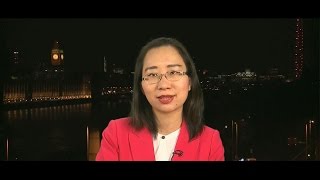 Yu Jie discusses ChinaSwitzerland relations [upl. by Gaspar]