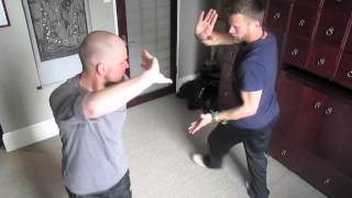 Baguazhang 8 Palms partner instruction [upl. by Nahamas54]