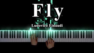 Ludovico Einaudi  Fly Piano Cover Bennet Paschke [upl. by Enilasor]