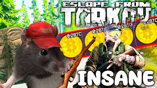 WIPE Escape from Tarkov  Best Highlights amp EFT WTF Funny Moments 133 [upl. by Lerat]