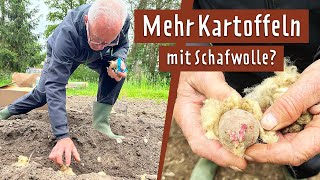 Kartoffeln anbauen  Sorten und Pflegetipps  MDR Garten [upl. by Enreval440]