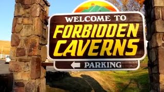 Inside look at Forbidden Caverns in the Smoky Mountains  VisitMySmokiescom [upl. by Aloeda268]