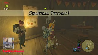 Stalhorse Pictured Walkthrough  The Legend of Zelda Breath of the Wild [upl. by Pansie217]