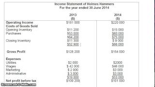 Income Statement Explained Revenue Profit and Loss PampL [upl. by Ahsirk]