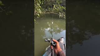 Luck or skillFollow for morefish fishing bass pike carp casting lure spinners viral [upl. by Donn152]