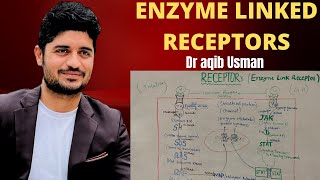 TRANSMEMBRANE ENZYME LINKED RECEPTORS  RECEPTOR TYROSINE KINASE amp JAKSTAT SIGNALLING PATHWAY [upl. by Aiet]