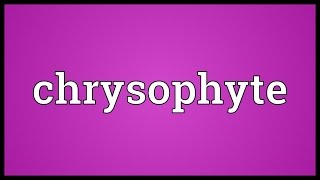 Chrysophyte Meaning [upl. by Henigman]