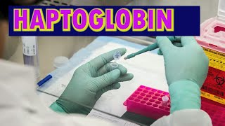 HAPTOGLOBIN [upl. by Grevera]