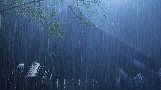 Strong Wind amp Thunderstorm  Overcome Anxiety to Sleep Soundly with Heavy Hurricane Powerful Rain [upl. by Harvey310]