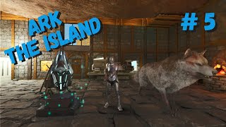 ARK THE ISLAND 5 Grotte et Artefact [upl. by Jobina795]