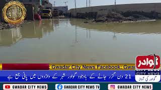 Gwadar Rain l Report l Sharif Ibrahim l Gwadar City News [upl. by Paule59]