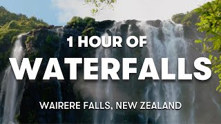 1 HOUR RELAXING WATERFALL IN WAIRERE FALLS NEW ZEALAND  CALMING AMBIENT NOISE FOR CONCENTRATING [upl. by Ecnarwal8]