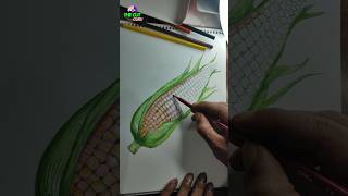 ඔයාල කැමතිම ඉරිඟු කරලක් 🌽🌽 Those who love corn subscribe art drawing shortsfeed painting [upl. by Annaiel807]