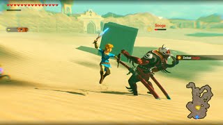 Killing the monsters in hyrule Age of Calamity Part 14 [upl. by Eenitsed754]