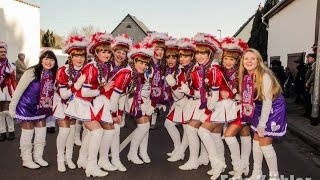 Karneval 2015  Festumzug des WCV in Gröbzig [upl. by Einimod]