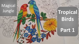 HOW I color 🦜Tropical Birds 🦜  Part 1  MAGICAL JUNGLE Adult Coloring Book By Johanna Basford [upl. by Lordan323]