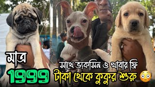 3999 টাকায় গোল্ডেন রেট্রিভার 😳🔥 Naihati Pet Market  Dog Market in Kolkata  Naihati Dog Market [upl. by Iver210]