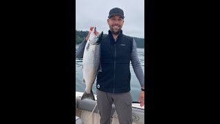 Puget Sound Coho Marine Area 11 Salmon Fishing [upl. by Berlyn]