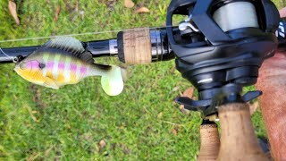 testing the megabass sleeper gill [upl. by Nhguahs308]