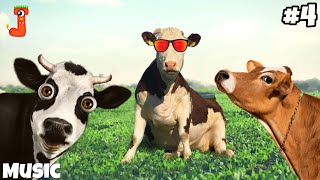 FUNNY COW DANCING VIDEO 4│Cow Song amp Cow Videos 2023  Cow dance mix  funny dancing gay [upl. by Mihe112]