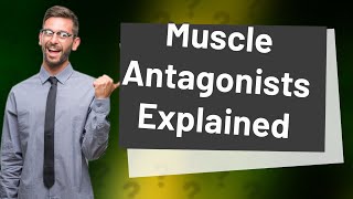 What muscle is antagonist to gracilis [upl. by Janik947]