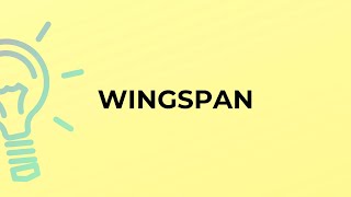 What is the meaning of the word WINGSPAN [upl. by Elynad]